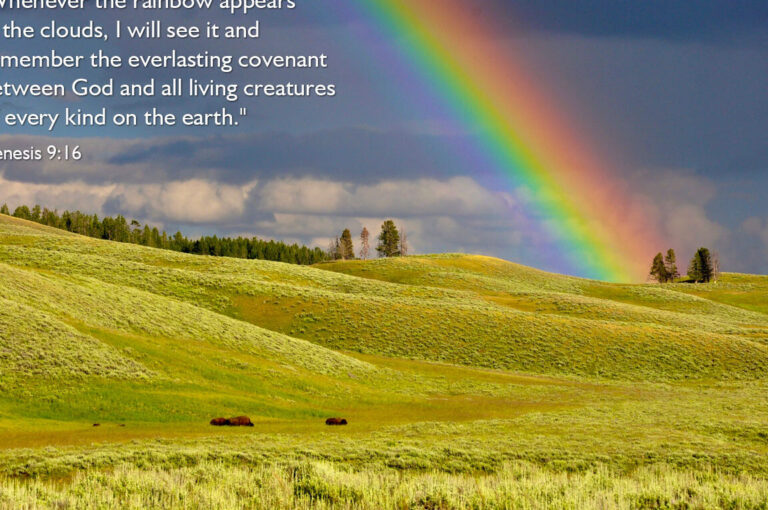 El significado del arcoíris en la Biblia: promesa divina