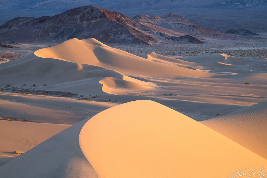 Explorando el significado bíblico de "yermo" en la Biblia